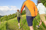 Nordic Walking